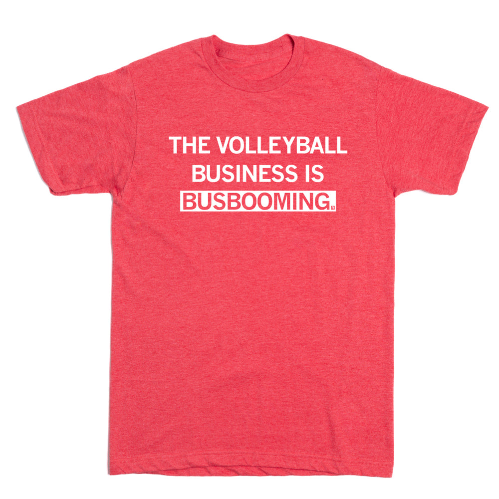 Volleyball Business