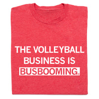 Volleyball Business