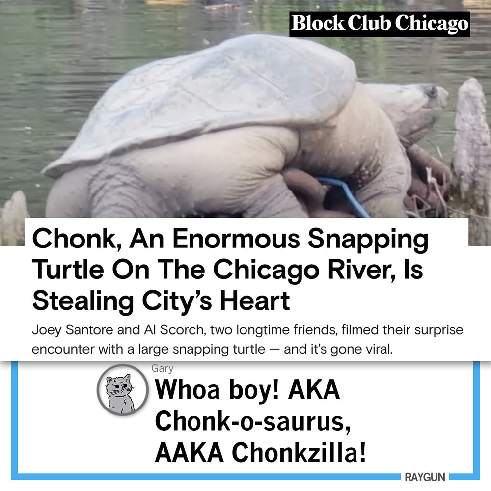 CHONK!