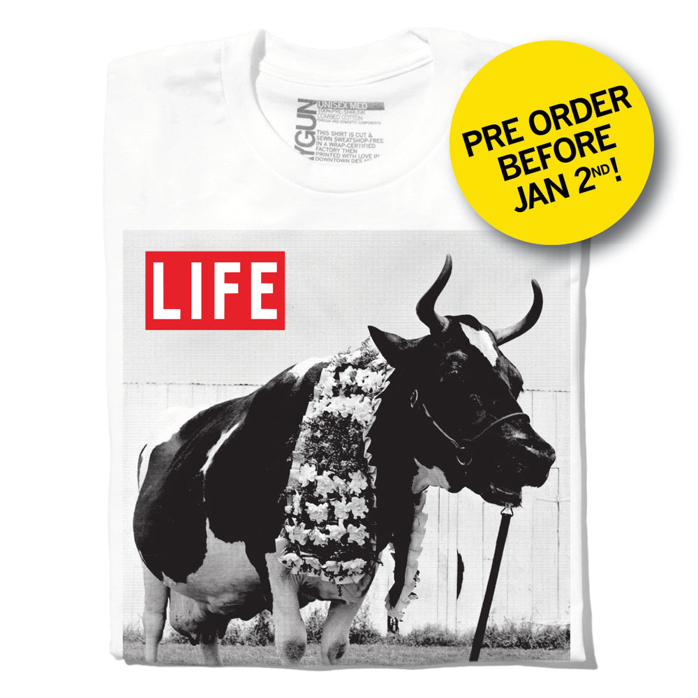 LIFE Magazine: Cow