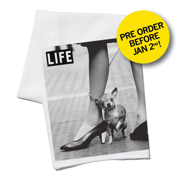 LIFE Magazine: Lil Dog Kitchen Towel