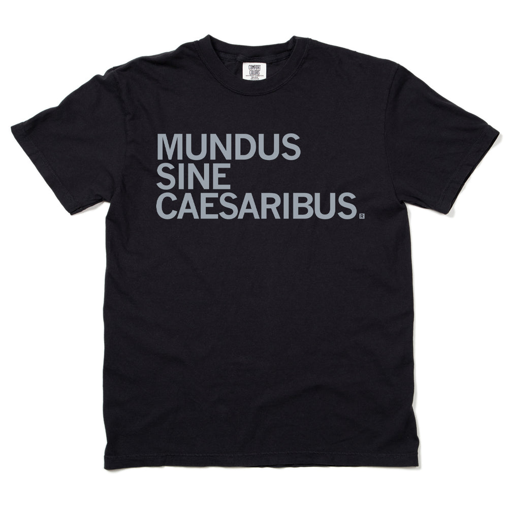 A world without Caesars T-Shirt