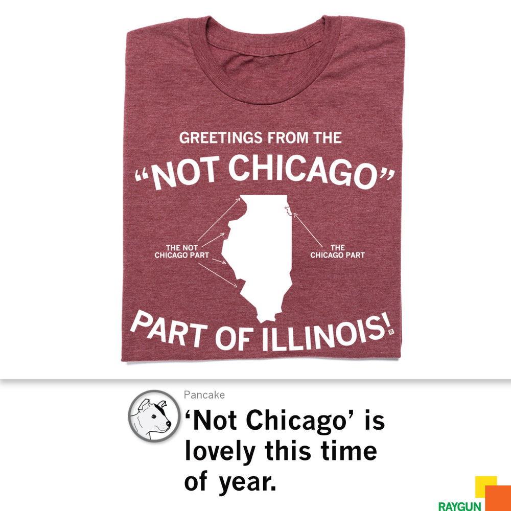 Not Chicago Part of Illinois