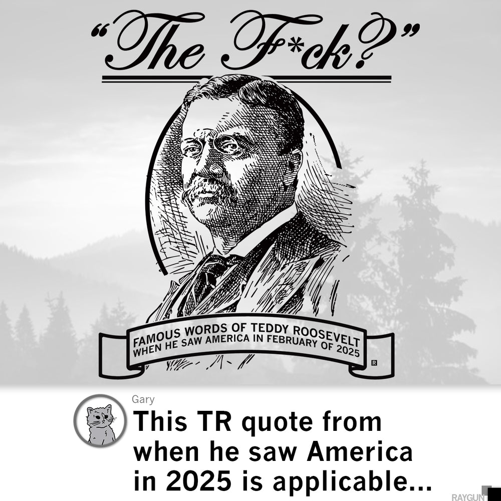 The F? Teddy Roosevelt Quote