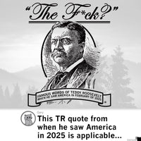 The F? Teddy Roosevelt Quote