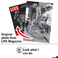 LIFE Magazine: Cats Drinking Milk