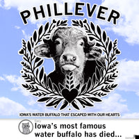 Phillever Blue