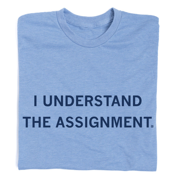 I Understand The Assignment