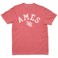 Ames Vintage Curved Logo Heavyweight Red