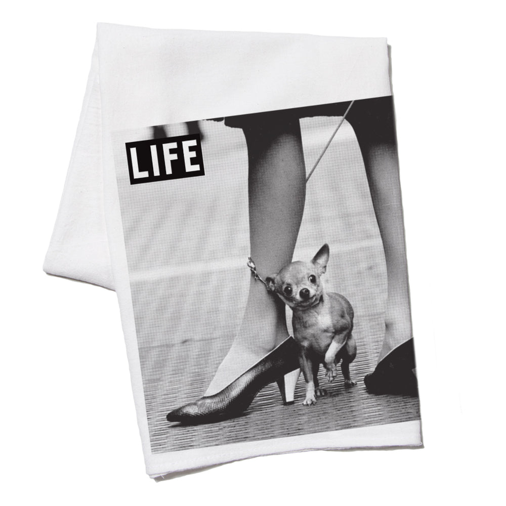 LIFE Magazine: Lil Dog Kitchen Towel