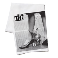 LIFE Magazine: Lil Dog Kitchen Towel