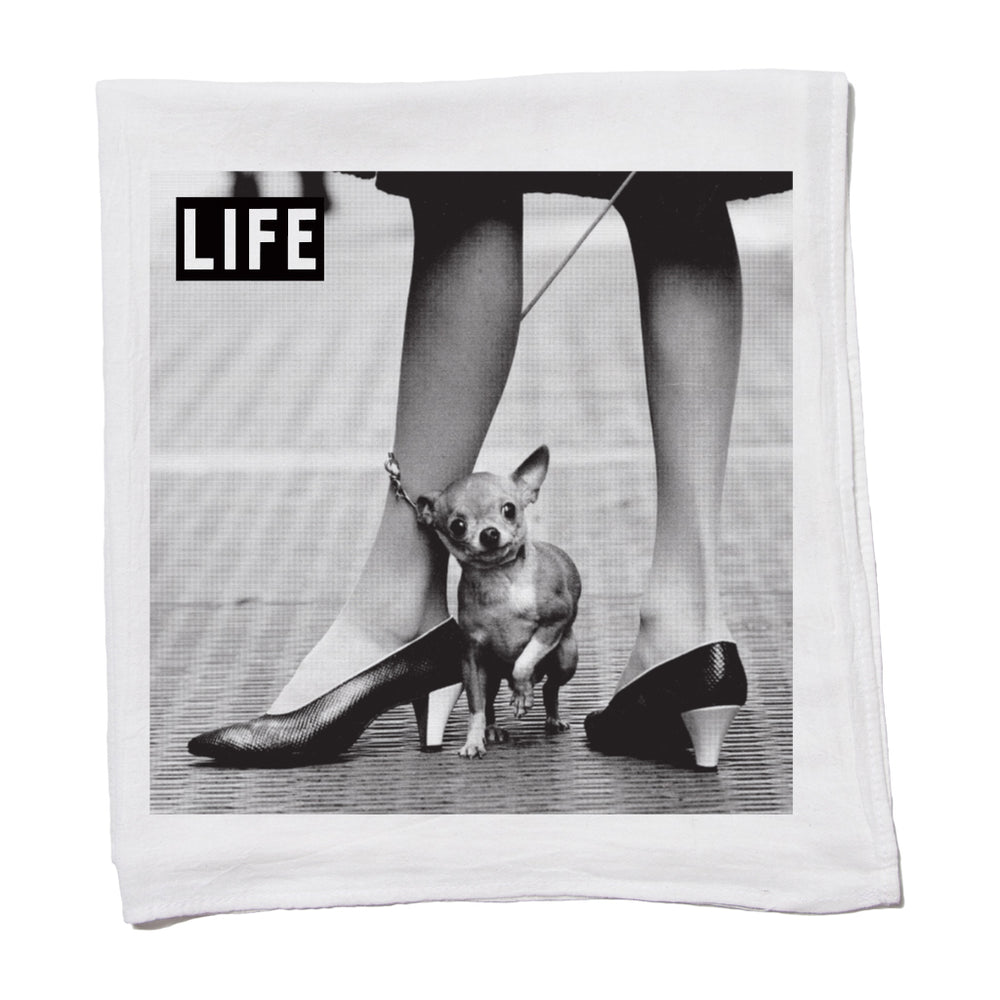 LIFE Magazine: Lil Dog Kitchen Towel