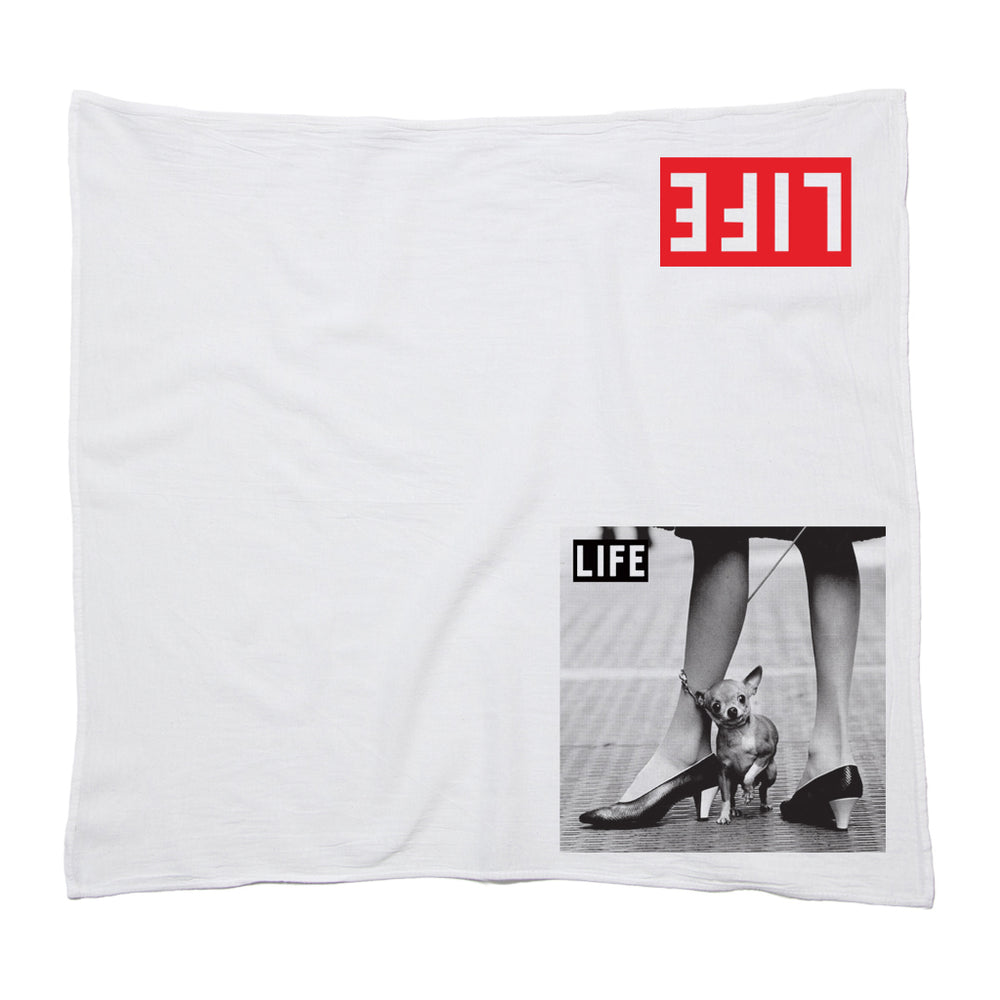 LIFE Magazine: Lil Dog Kitchen Towel