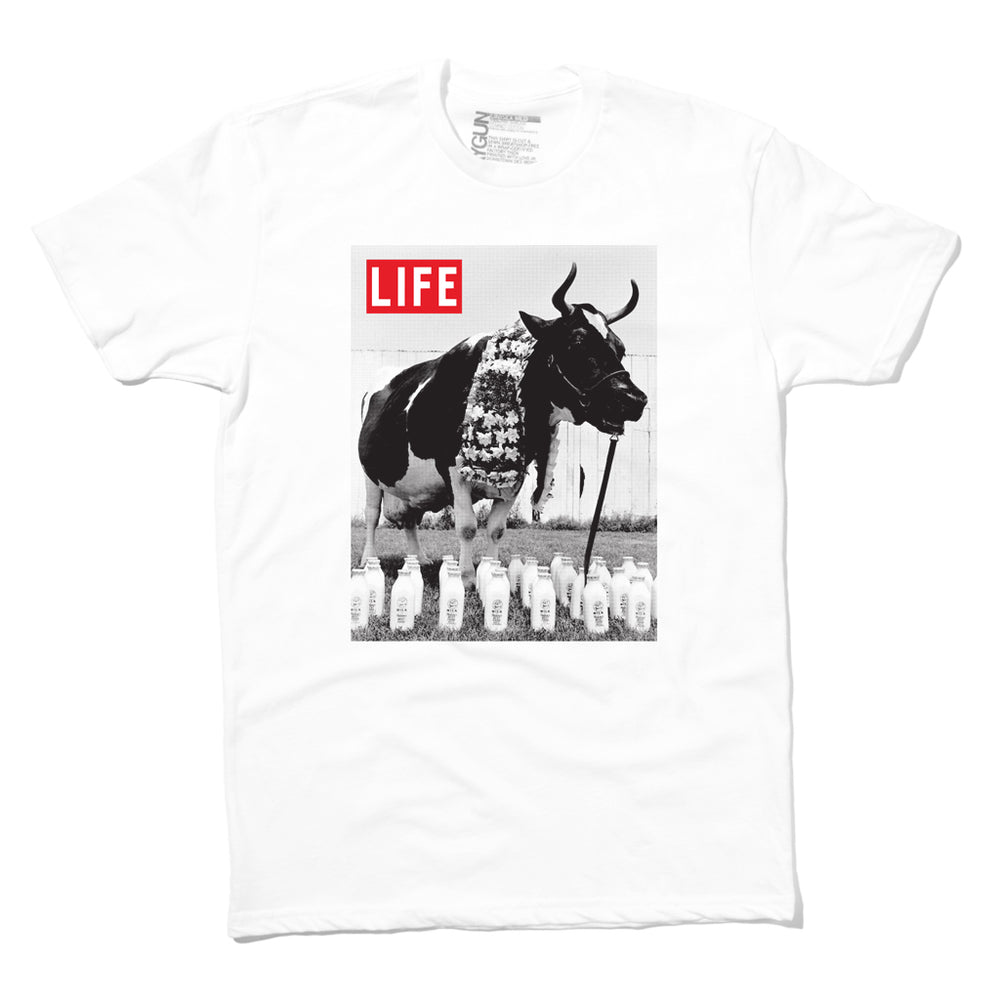 LIFE Magazine: Cow