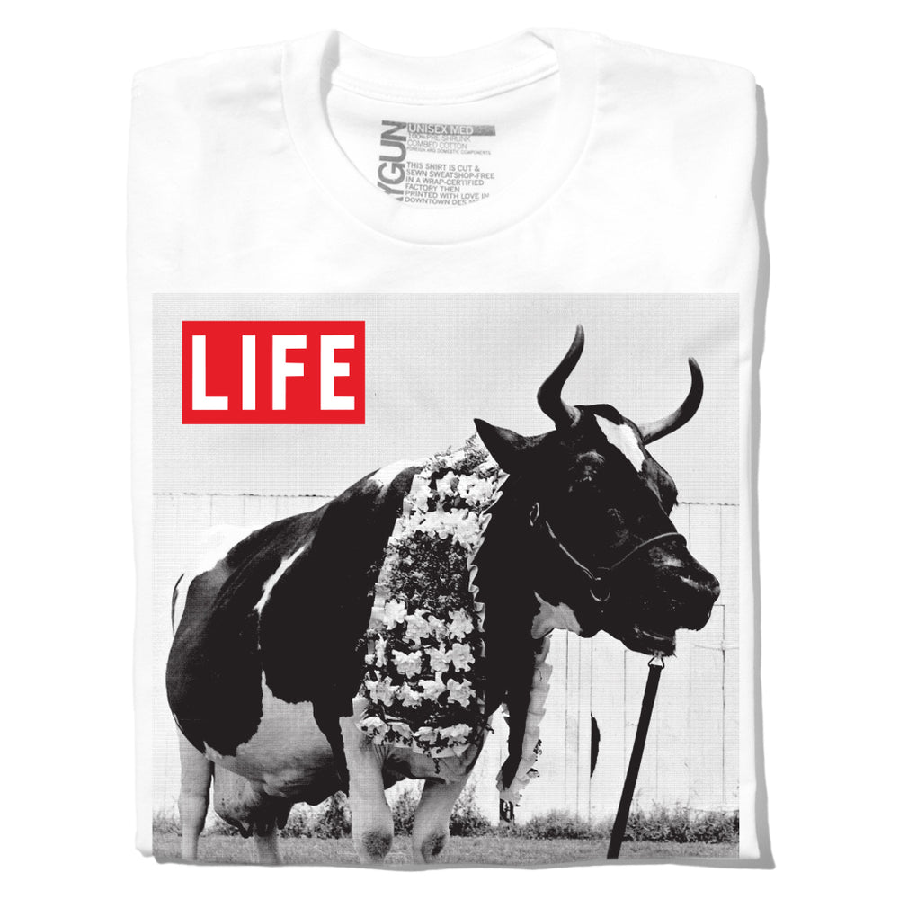 LIFE Magazine: Cow