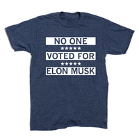 No One Voted for Elon