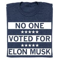 No One Voted for Elon