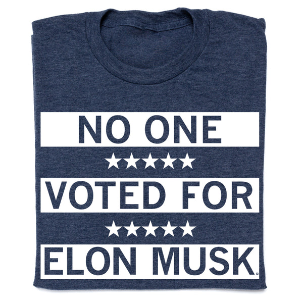 No One Voted for Elon