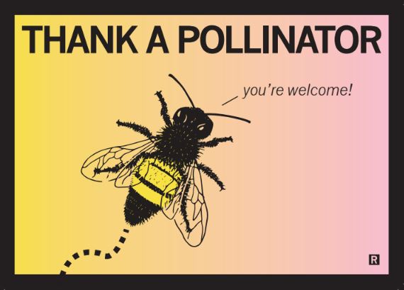 Thank A Pollinator Postcard