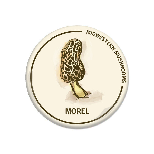 Midwestern Mushrooms Morel Nature Fungi Fungus Environment Button