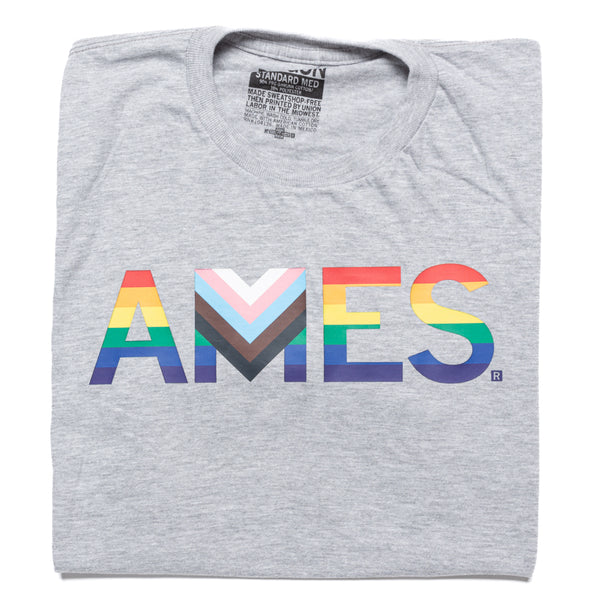 Ames Text Progress Pride Flag T-shirt