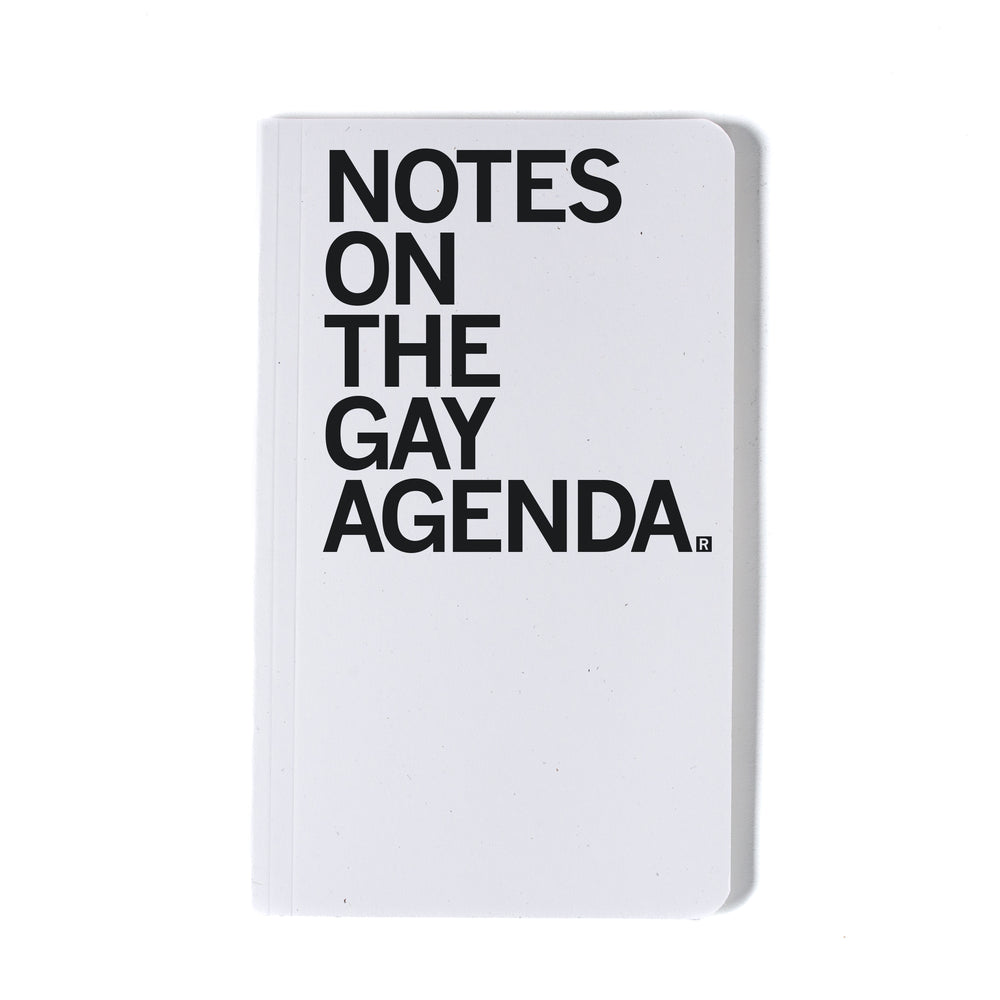 Notes On The Gay Agenda