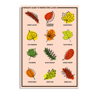 Midwestern Leaves Postcard